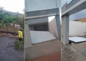 Forte ventania derruba árvore, grades e portões na cidade de Juazeiro do Norte (Foto: Reprodução/TVM)