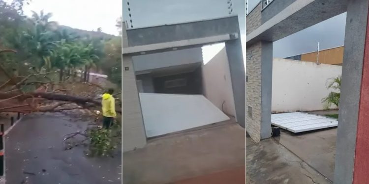 Forte ventania derruba árvores, portões e gera ‘nuvem de poeira’ em Juazeiro do Norte e Barbalha