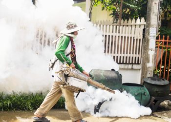 A chikungunya é causada pela picada do mosquisto aedes aegypti (Foto: jcomp/Freepik)