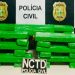 Polícia Civil prende quatro pessoas e apreende mais de 28 kg de maconha em Juazeiro do Norte