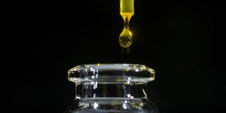 CFM suspende norma que restringia uso de canabidiol