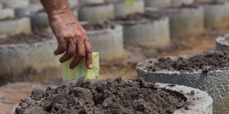 Seleção de Mestrado em Desenvolvimento Regional Sustentável na UFCA oferta 20 vagas
