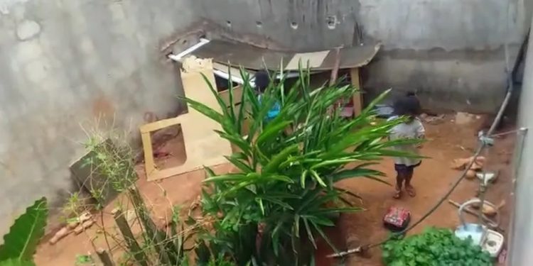 Crianças de 7 e 10 anos são resgatadas em situação de abandono e maus-tratos em Juazeiro do Norte