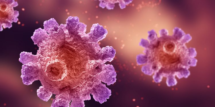 Monkeypox: 25% dos casos notificados no Ceará dão positivo