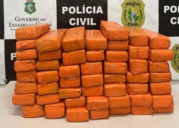 (Foto: Divulgação/PC-CE)