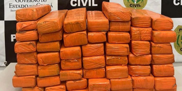 Polícia Civil apreende 30 quilos de maconha na divisa entre Ceará e Pernambuco