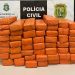 Polícia Civil apreende 30 quilos de maconha na divisa entre Ceará e Pernambuco