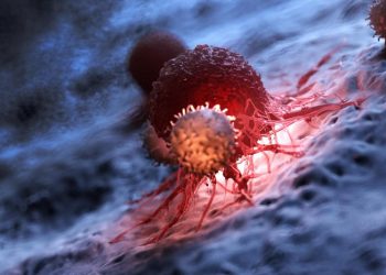 Terapia com células CART-T utiliza as próprias células de defesa do paciente e as reprograma para atacar um alvo específico (Foto: SciePro/stock.adobe.com)