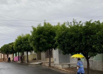 (Foto: Marciel Bezerra)