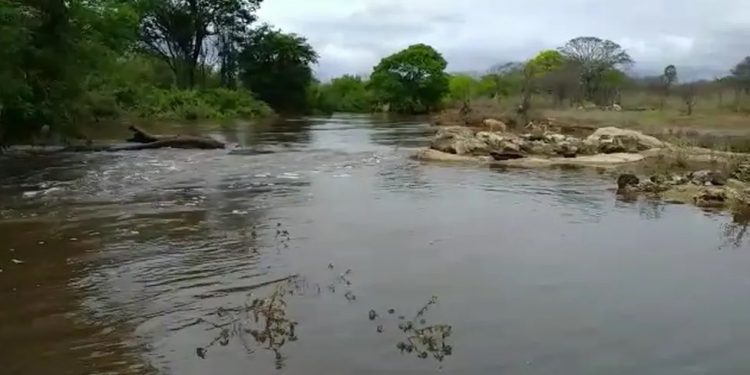 Fortes chuvas interditam estradas, alagam ruas e deixam animais mortos em Arneiroz e Aiuaba