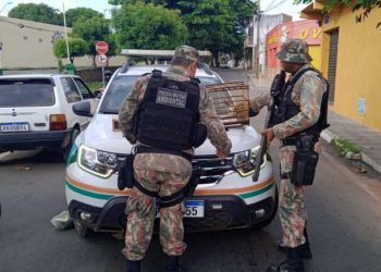 (Foto: Divulgação/SSPDS)