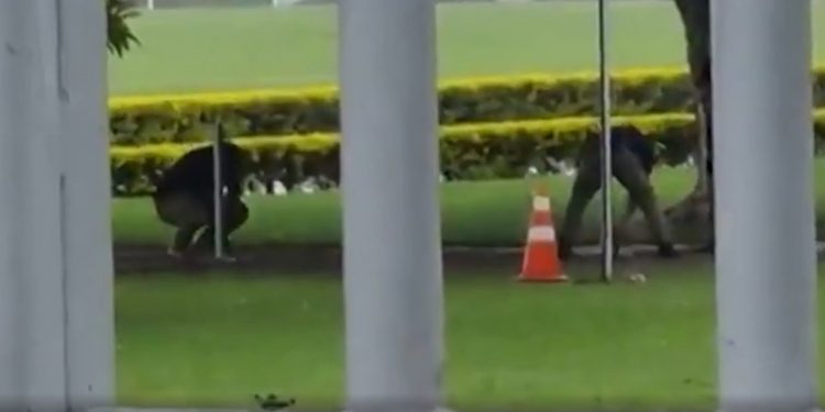 ‘Cercadinho’ de Bolsonaro começa a ser desmontado em Brasília