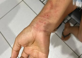 (Foto: Divulgação/PCPI)