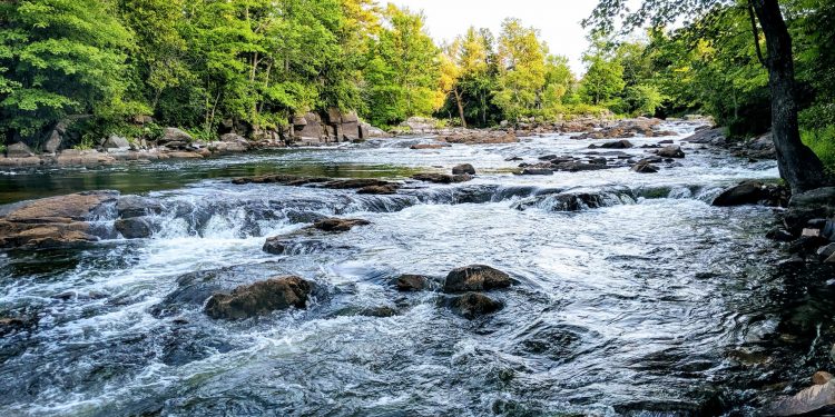 O Rio – Por J. Flávio Vieira