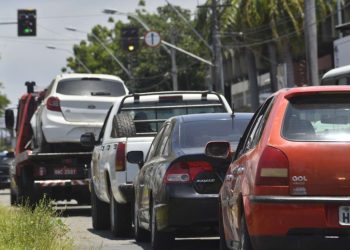 (Foto: Thiara Montefusco/Governo do Ceará)