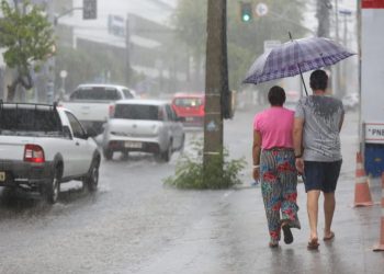 (Foto: Fabiane de Paula/SVM)