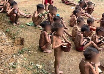 (Foto: Urihi Associação Yanomami/Sumaúma Jornalismo)