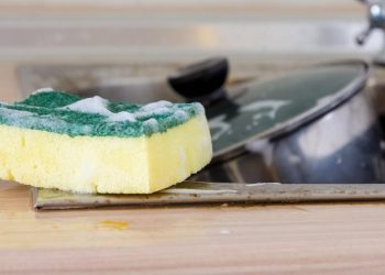 Esponja de lavar louça é o item mais sujo da casa; veja top 5 do ‘nojinho’