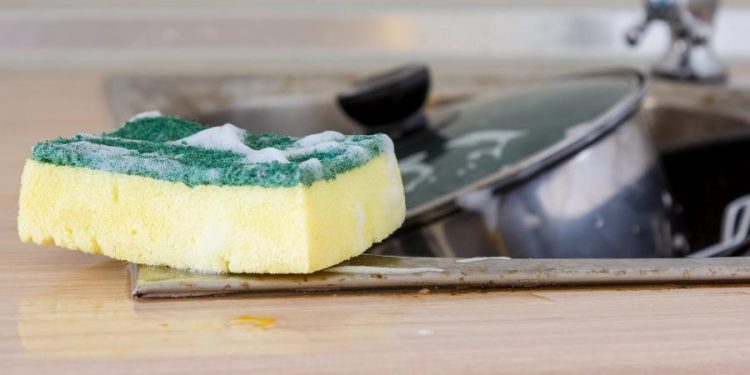 Esponja de lavar louça é o item mais sujo da casa; veja top 5 do ‘nojinho’