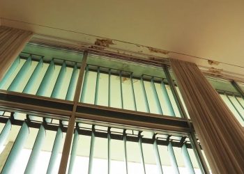 Áreas do Palácio da Alvorada apresentam infiltração (Foto: Reprodução/GloboNews)