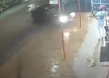 (Foto: Reprodução/Redes sociais)