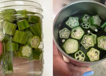 Afinal de contas, será que tomar essa água "diferentona" faz mal ou traz mesmo algum benefício? (Foto: Reprodução/Instagram)