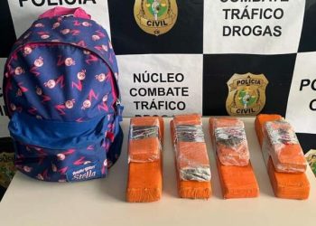 (Foto: Divulgação/SSPDS)