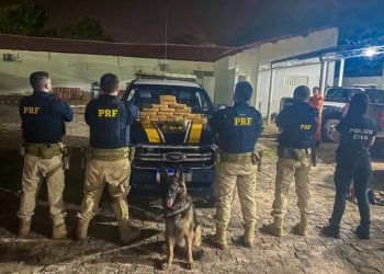 Parte da droga estava escondida no porta-malas do veículo (Foto: Divulgação/PRF)