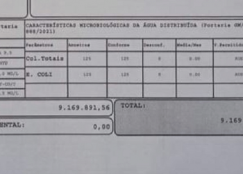 Conta de água foi enviada à consumidora no valor de R$ 9.169.891,59 em Blumenau (Foto: Reprodução/Twitter)