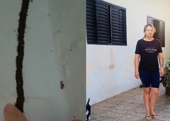 Moradora sofre com cupins em casa em Maringá (PR) (Foto: Reprodução)
