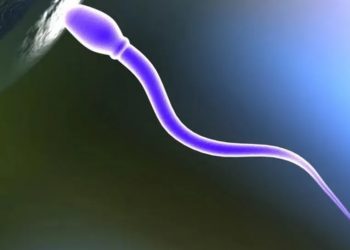 Pílula anticoncepcional masculina em teste bloqueia ação de enzima importante para a 'natação' do espermatozoide (Foto: Getty Images/BBC)