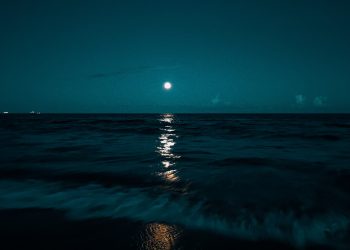 (Foto: Shraddha Agrawal/Unsplash)