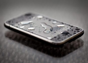 (Foto: Peter Kemmer/https://www.flickr.com/photos/pkmousie/)