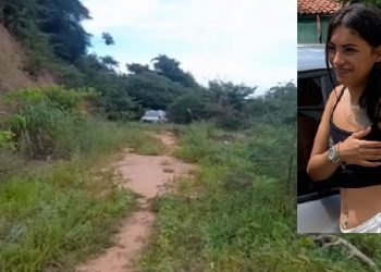 (Foto: Reprodução/Arquivo pessoal)