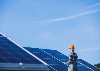 (Foto: senivpetro/Freepik)