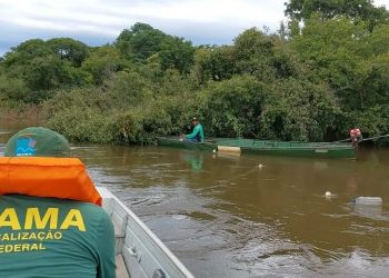Governo Lula libera cobrança de R$ 29 bi em multas do Ibama barradas por Bolsonaro
