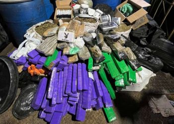 (Foto: Divulgação/PC-CE)