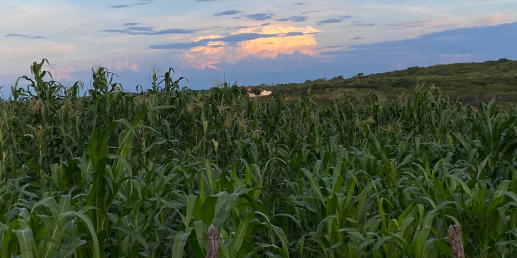 Chuvas deverão ser mais isoladas até sábado (25), aponta previsão do tempo