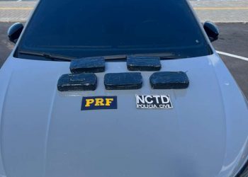 (Foto: Divulgação/PC-CE)