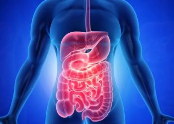 (Foto: Shutterstock)