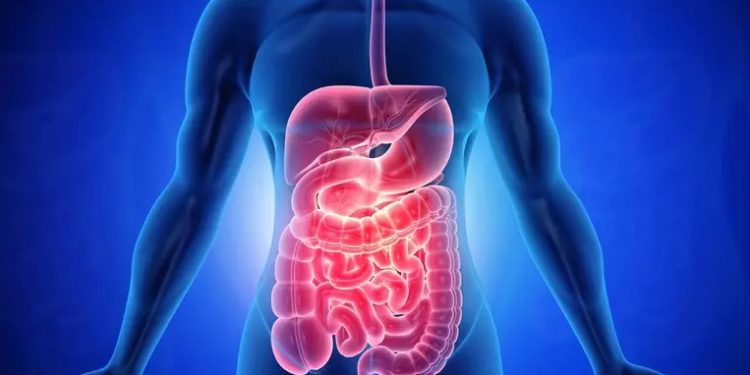 Sintomas do câncer no intestino: como identificar a doença