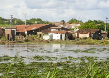 (Foto: Carlos Gibaja/Governo do Ceará)