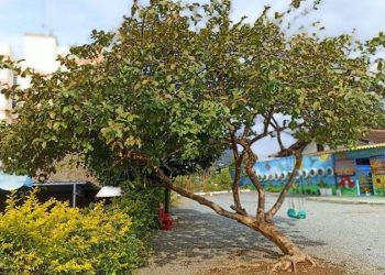 Imagem da frente da creche particular Cantinho Bom Pastor (Foto: Reprodução/Facebook)