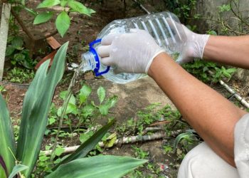 Cuidados simples como eliminar os reservatórios desprotegidos com água acumulada evitam a proliferação do aedes aegypti (Foto: Bárbara Dantheias/Governo do Ceará)