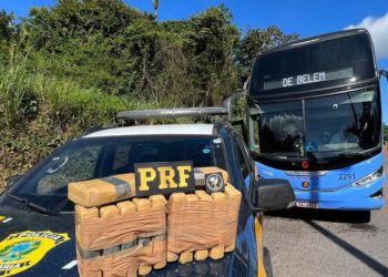 Mulher foi presa com 12 tablets de cocaína dentro de ônibus em Tianguá (Foto: Divulgação/PRF)