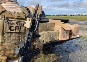 A PF fez o flagrante dos 290kg de skunk em um hangar de voos particulares do Aeroporto Internacional de Belém (PA) (Foto: Divulgação/Polícia Federal)