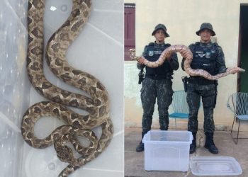 (Foto: Divulgação/BPMA)