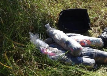 Partes do corpo da vítima foram encontradas às margens de rodovia (Foto: PCMS/Reprodução)