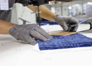 (Foto: Tatiana Fortes/Governo do Ceará)