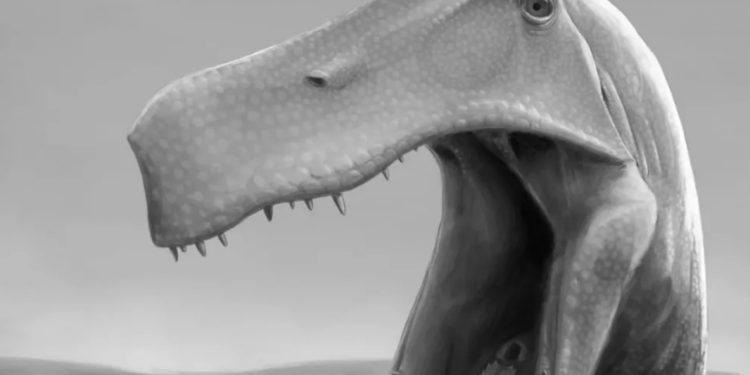 Criticado por usar fóssil ‘roubado’ da Bacia do Araripe, estudo na Alemanha diz que dinossauro era caçador ágil